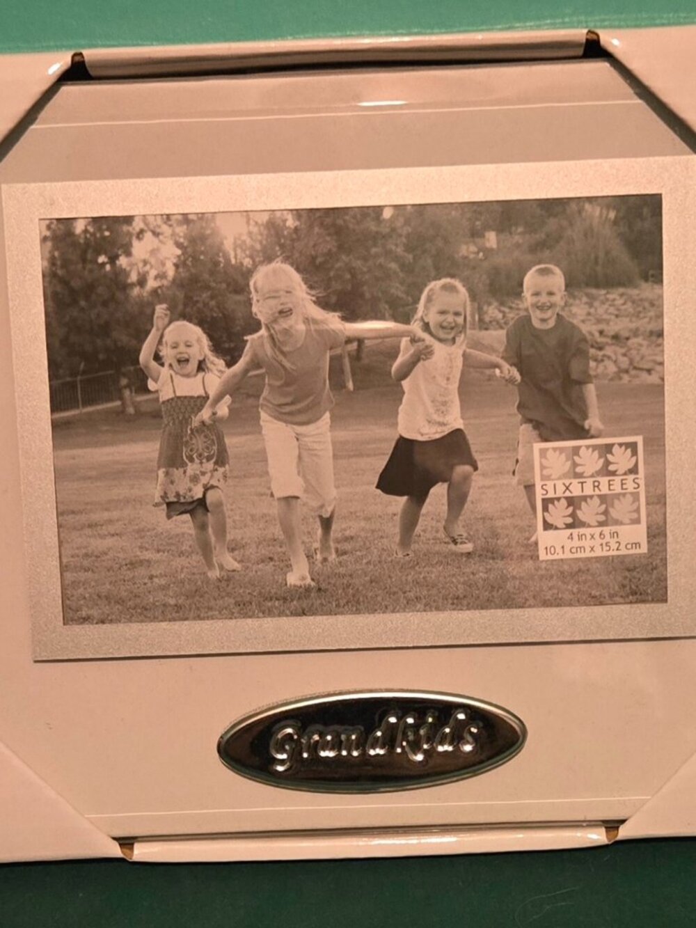 Sixtrees Oval Sentiments Glass Picture Frame 4x6 “Grandkids” NEW
